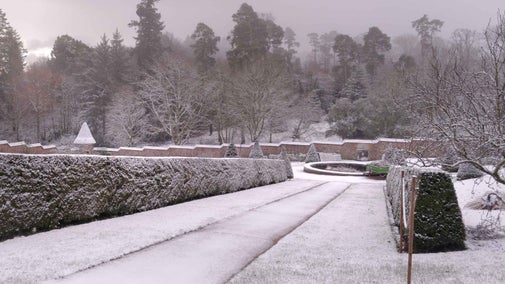 Snow covers the garden at Knightshayes